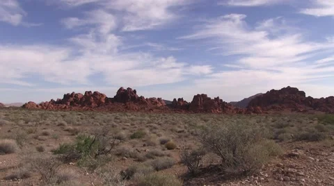 Desert beauty Video stock 50699676