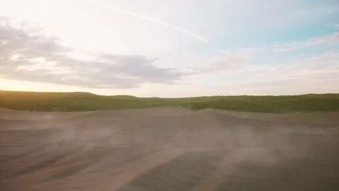 Desert becomes oasis trees grow Stock Footage 313857745