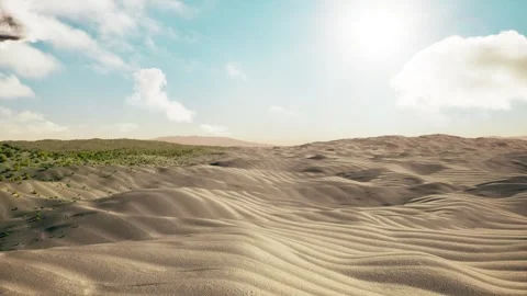 Desert becomes oasis trees grow 库存影片 313857761