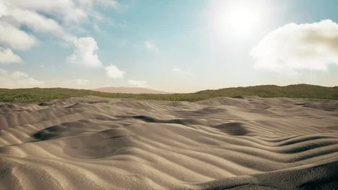 Desert becomes oasis trees grow 库存影片 313857793