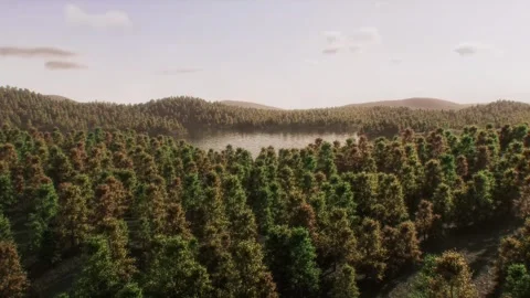 Desert becomes oasis trees grow 库存影片 313858129