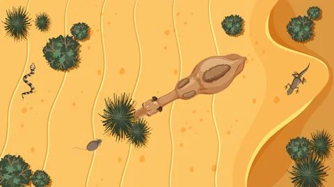 Desert Biodiversity from a Top View Stock Illustration