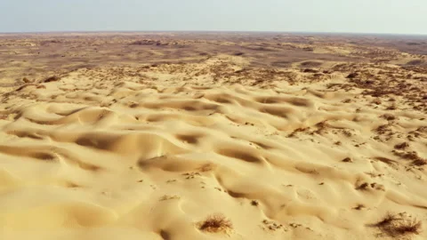 Desert boundless scenery with plants scorched by sun Video stock 199809088