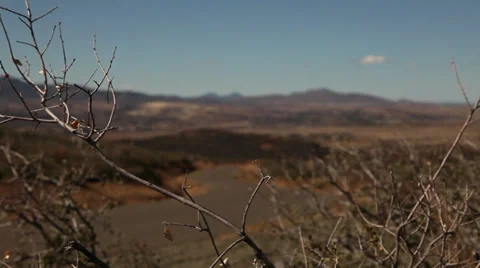 The Desert Branch In The Distance Stock Footage 36834288