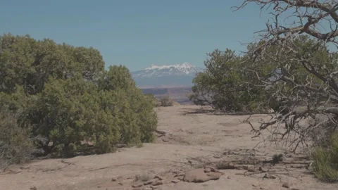 Desert Brush and Mountains, Canyonlands NP, Utah 8K Stock Footage