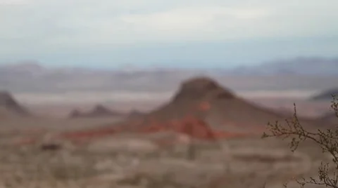 Desert Bush Glide Track Stock Footage 8343503