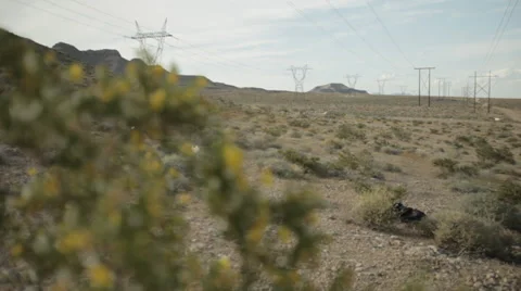 DESERT BUSH IN WIND Stock Footage 28069835