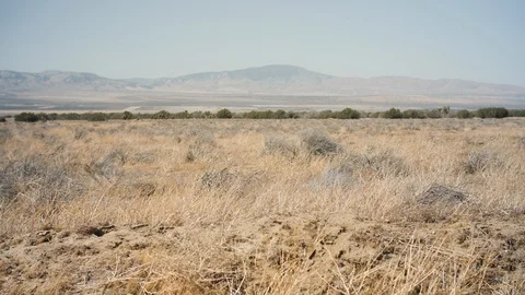 Desert Bushes Mountain Stock Footage 93296426