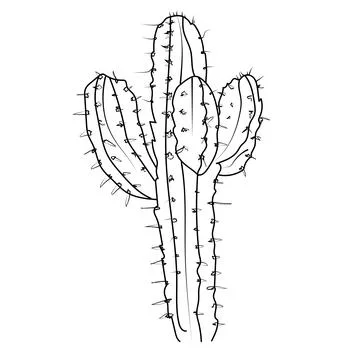 Desert cactus coloring page, simple cactus coloring page, plant simple cactu Stock Illustration
