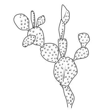Desert cactus coloring page, simple cactus coloring page, plant simple cactus Illustrazione stock