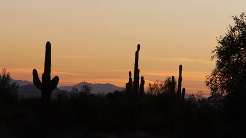 Desert cactus shadow mountains at sunset Stock Footage 82912814