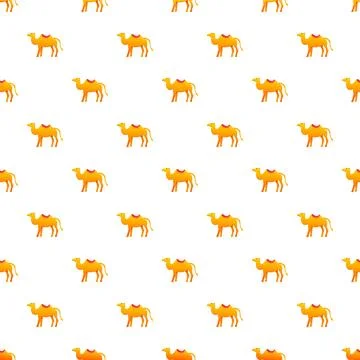 Desert camel animal seamless pattern on white background Stock Illustration