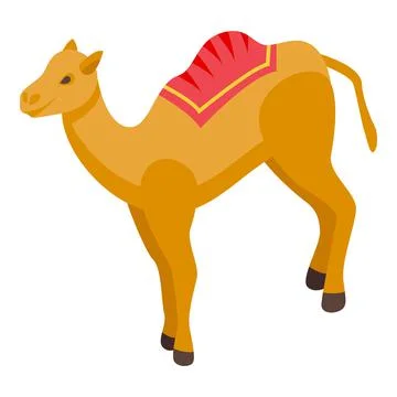 Desert camel icon, isometric style Stock Illustration
