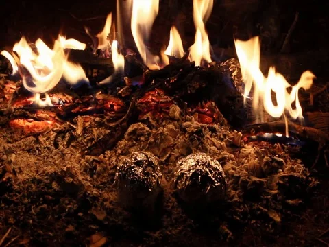 DESERT CAMPFIRE Stock Footage 100410798