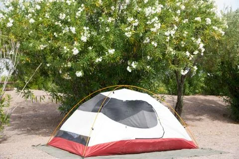 Desert Camping Foto stock