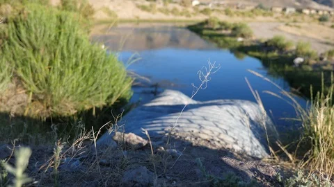 Desert canal drought Stockbeeldmateriaal 92682804