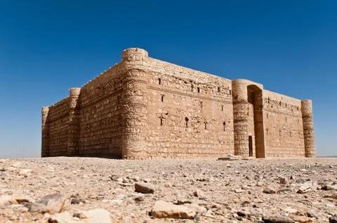 Desert catle Stock Photos