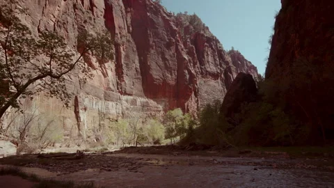 Desert Cliff River in a Canyon Stock Footage 255709485