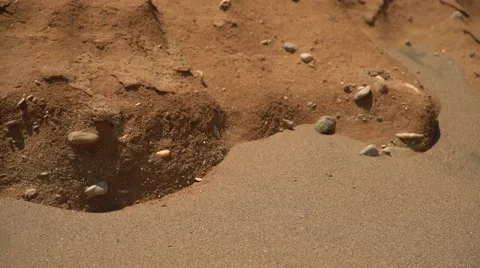 Desert close-up Video stock 68763331