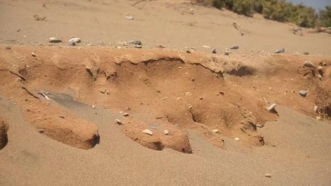 Desert close-up scenery Stock Footage 70678572