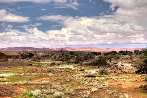 Desert cloud Stock Photos