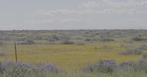 Desert Countryside Stock Footage 168212555