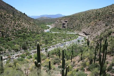 Desert creek Foto stock
