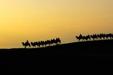 Desert dawn Stock Photos