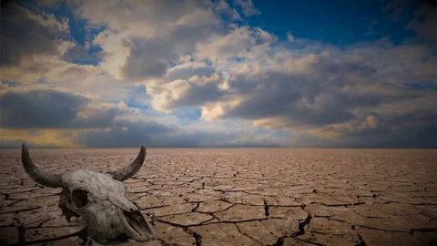 Desert day shot ground level Stock Footage 346501867