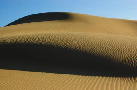 Desert detail Stock Photos