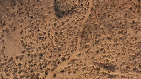 Desert dirt track through brush top down aerial 動画素材 119989507