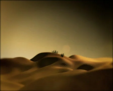 Desert Dolly 03 Stock Footage 183526