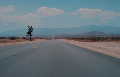 Desert Driving Stock Footage 320334459