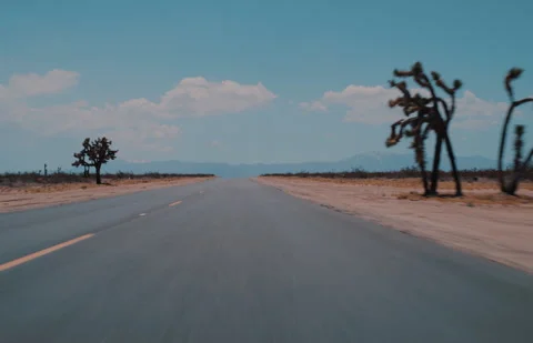 Desert Driving Stock Footage 320334468