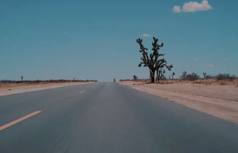 Desert Driving Stock Footage 320334512