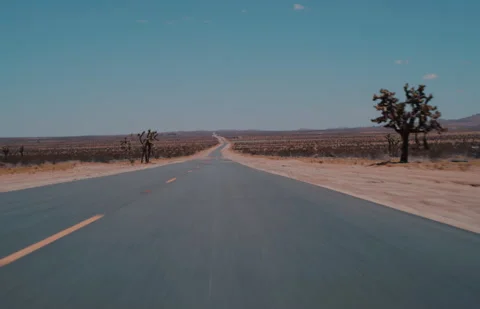 Desert Driving Stock Footage 320334526