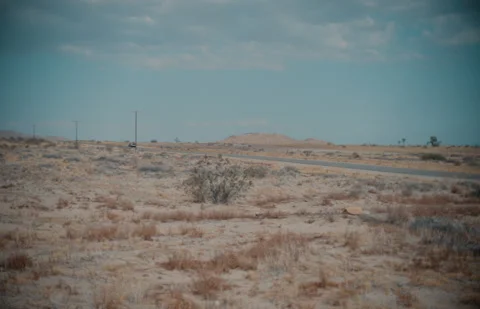 Desert Driving Stock Footage 320334638