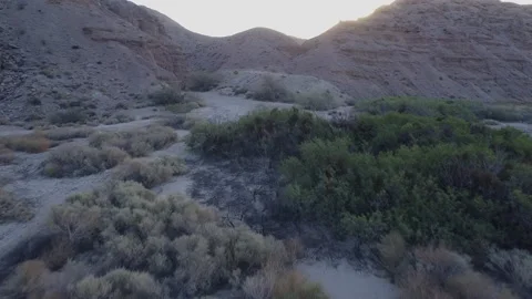 Desert Drone Shot - Mojave Desert 7 Stock Footage 217823997