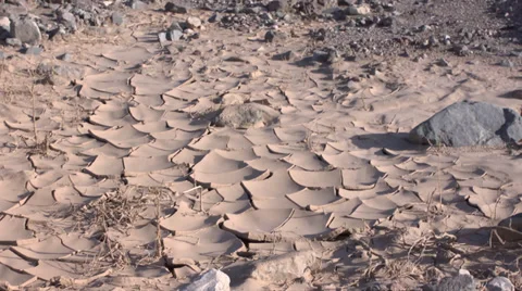 Desert Dry Earth Cracks Stock Footage