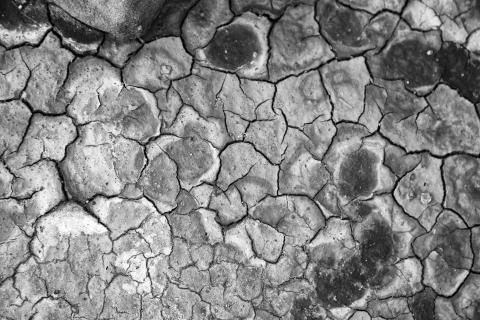In the desert the dry ground Stock Photos