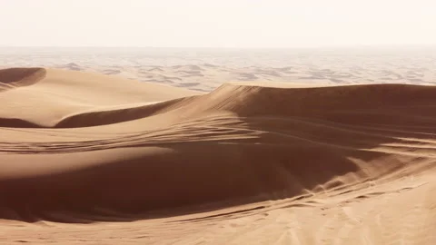 Desert in Dubai Stock Footage 220078938