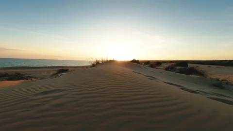 Desert Dune beach at sunrise Stock Footage 243736969