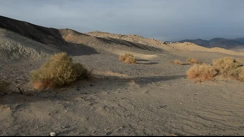 Desert Dune Shrubs 2 Stock Footage 104846758