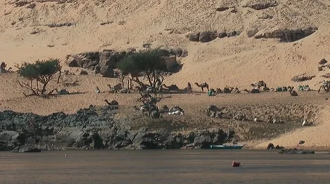 Desert dunes and date palms from a cruising nile felucca Video stock 7734957