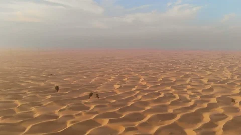 Desert dunes Stock Footage 97488001