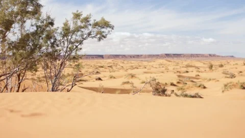 Desert dunes Stock Footage 125094354