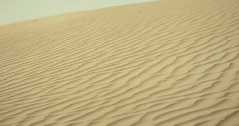 Desert Dunes 스톡 동영상 185589486