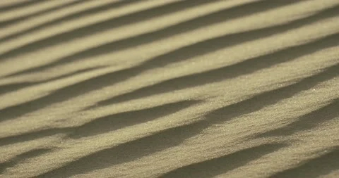 Desert Dunes 스톡 동영상 186462866