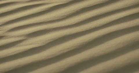 Desert Dunes 스톡 동영상 186475346