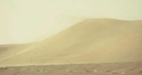 Desert Dunes 스톡 동영상 186476568